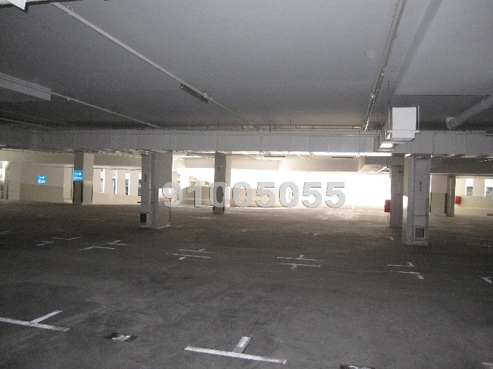 THE ELITIST (D23), Factory #427802